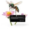 Adobe Lightroom Photo Editing AI Tools Cloud Storage-1