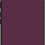 CASETiFY Impact Magnetic Case Pixel 10 Pro XL Protection-0